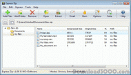 Express Zip screenshot